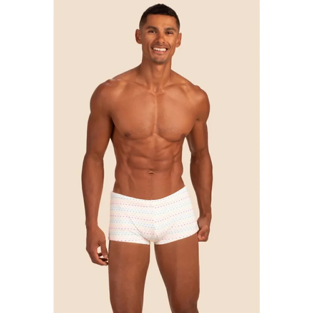 MR TURK Sorrento Swim Trunk ~ White Dotted Stripe Swim Knit Small S NWT